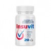 Insuvit - diabeediravim