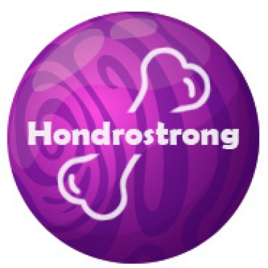 Hondrostrong - vahend liigeste raviks